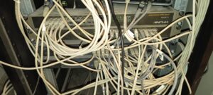 IMG_20260129_123139431